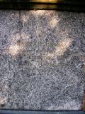 image of grave number 484146